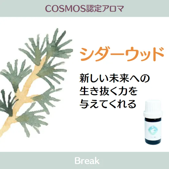 【シングルオイルｰACO】COSMOS認定精油　シダーウッド精油　5ml