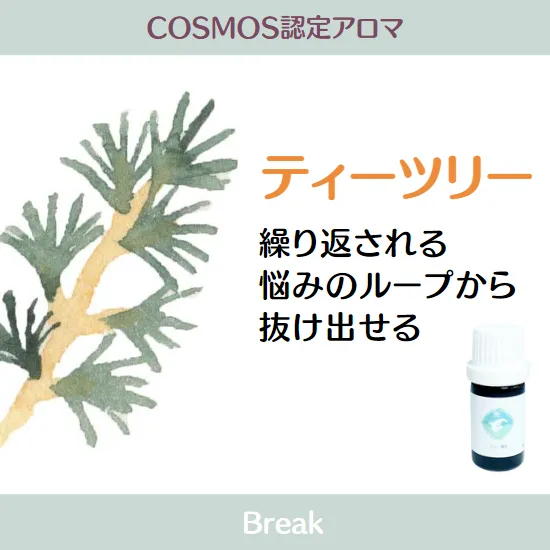 【シングルオイルｰACO】COSMOS認定精油　ティーツリー5ml